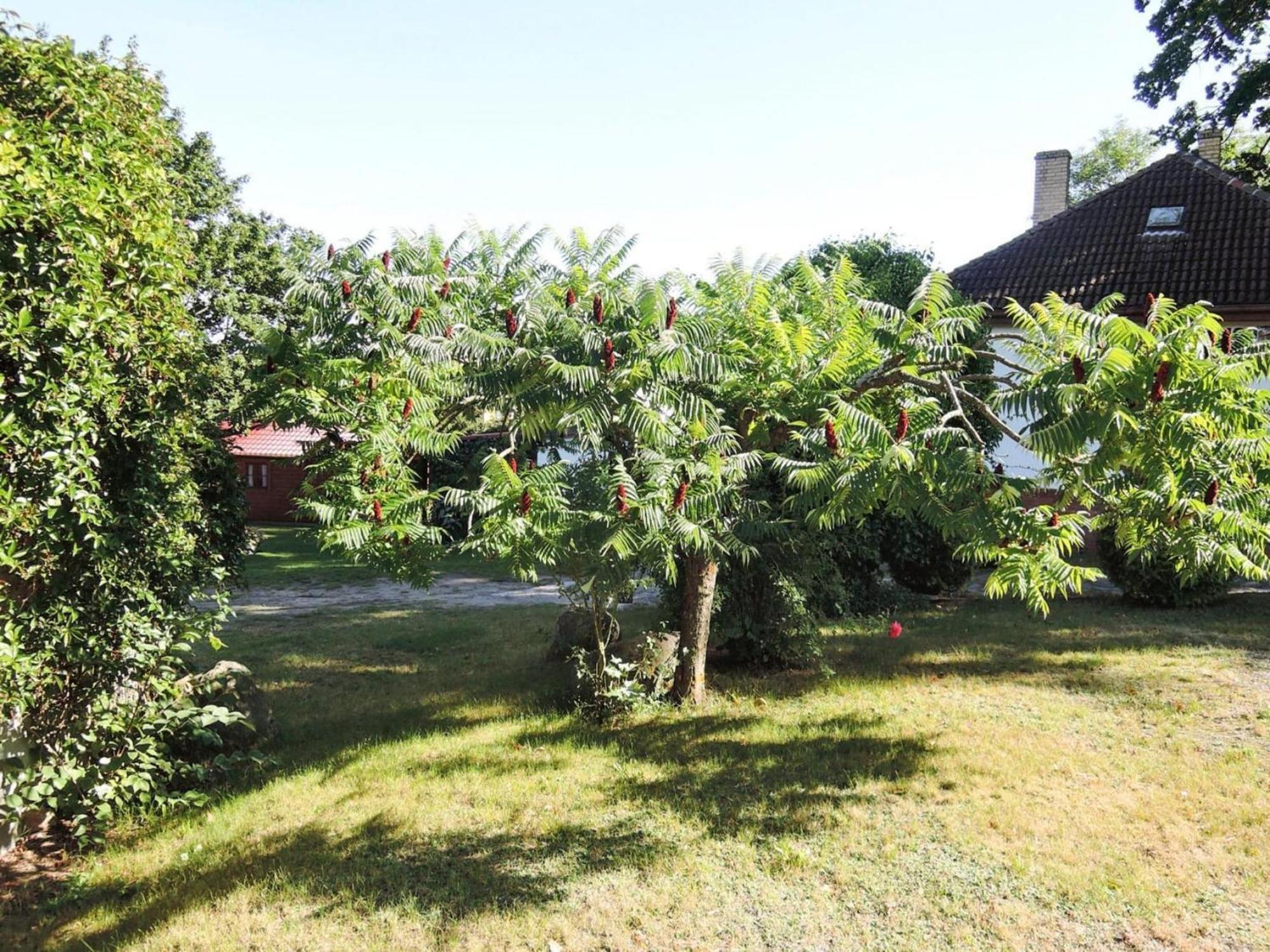 Bungalow In Lubin At 300 M From The Lake Bagian luar foto