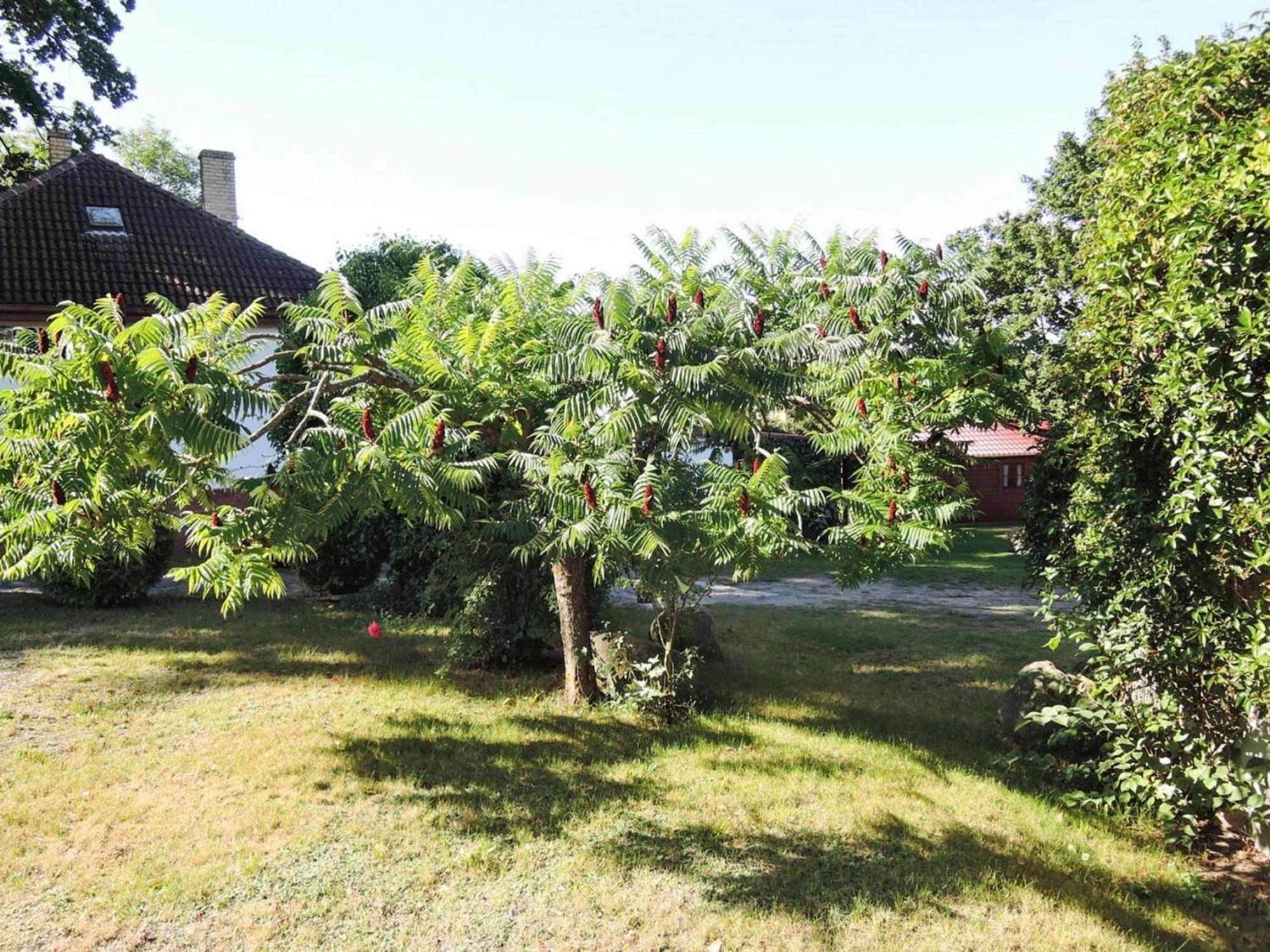 Bungalow In Lubin At 300 M From The Lake Bagian luar foto