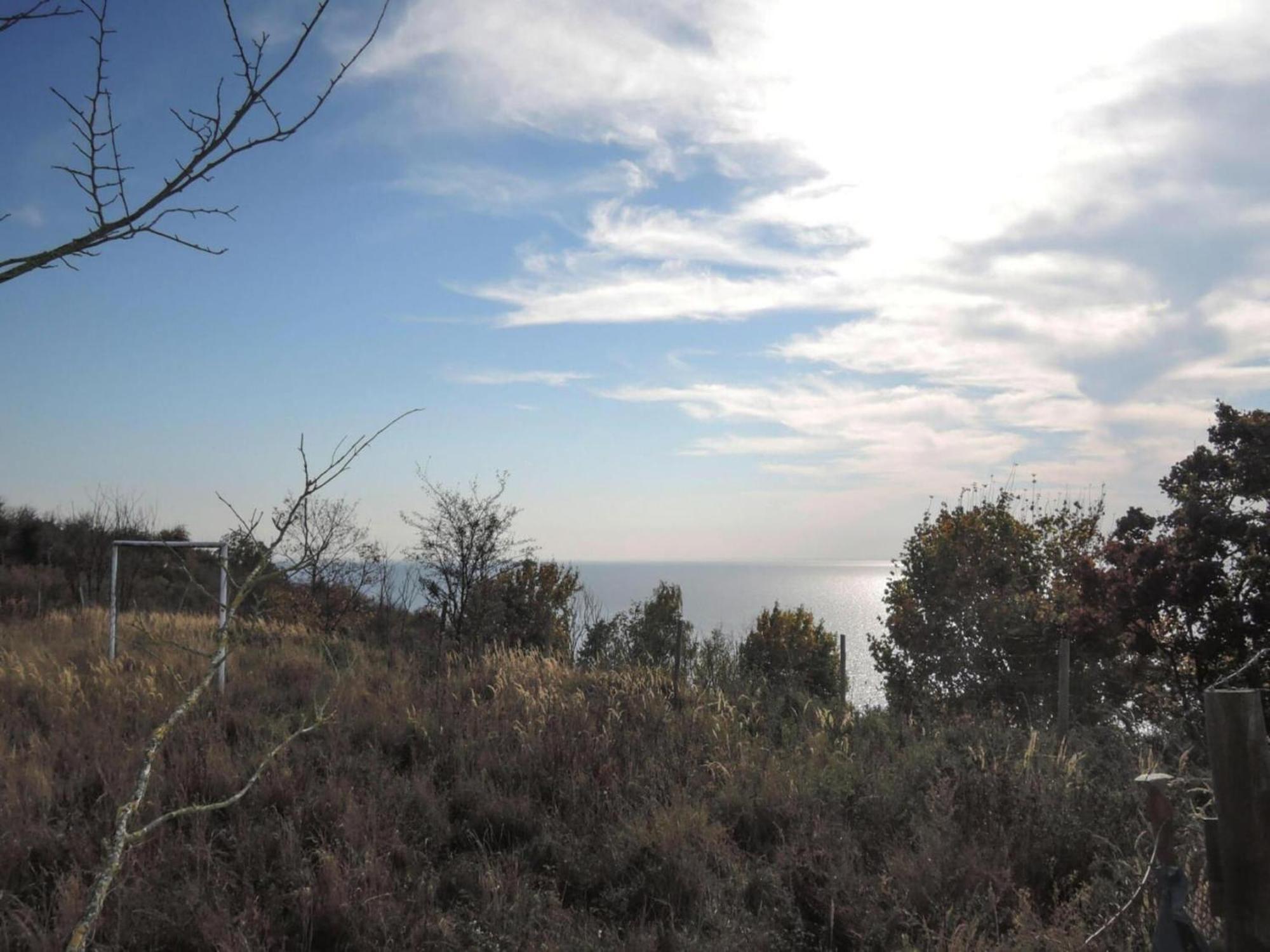 Bungalow In Lubin At 300 M From The Lake Bagian luar foto